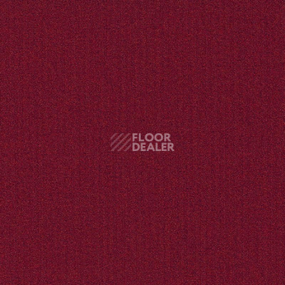 Ковровая плитка Modulyss Millennium Nxtgen Millennium Nxtgen 355 фото 1 | FLOORDEALER